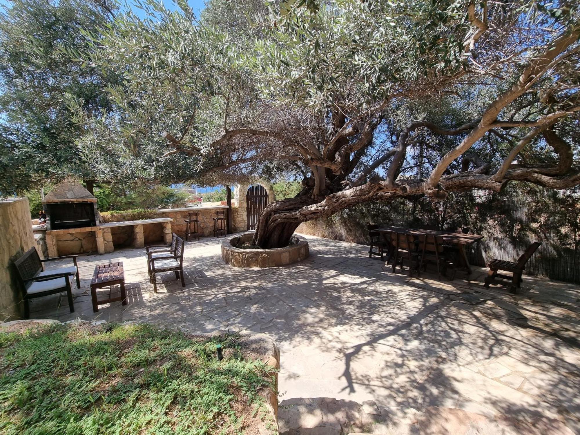 Olive Beach Villa 佩亚 外观 照片