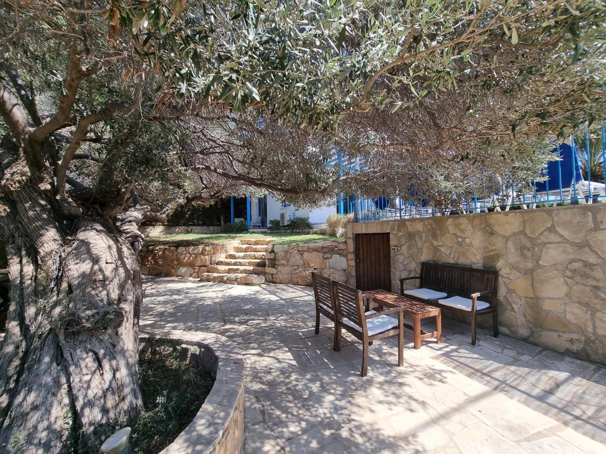 Olive Beach Villa 佩亚 外观 照片